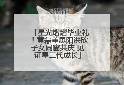 星光熠熠毕业礼！黄磊董思阳洪欣子女同窗共庆 见证星二代成长