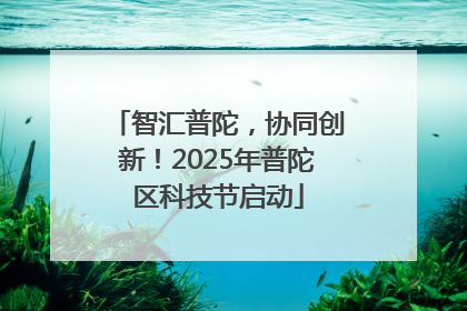 智汇普陀，协同创新！2025年普陀区科技节启动