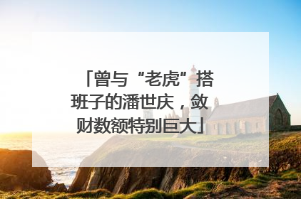 曾与“老虎”搭班子的潘世庆，敛财数额特别巨大