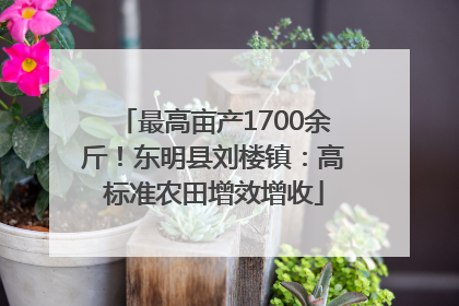 最高亩产1700余斤！东明县刘楼镇：高标准农田增效增收