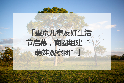 望京儿童友好生活节启幕，商圈组建“萌娃观察团”