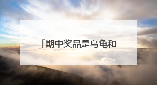 期中奖品是乌龟和兔子！杭州有位很会发奖励的初中班主任，他说这么做很值