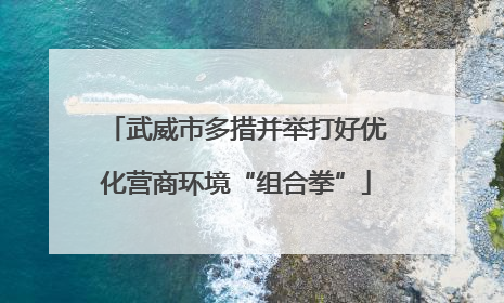 武威市多措并举打好优化营商环境“组合拳”