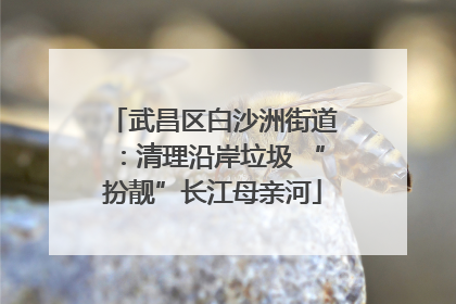 武昌区白沙洲街道：清理沿岸垃圾 “扮靓”长江母亲河