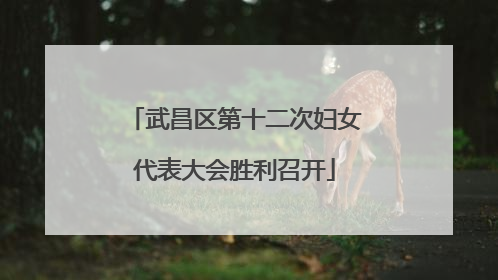 武昌区第十二次妇女代表大会胜利召开
