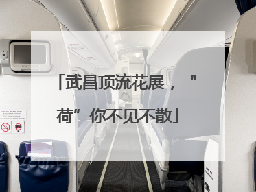 武昌顶流花展，“荷”你不见不散