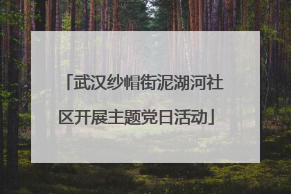 武汉纱帽街泥湖河社区开展主题党日活动