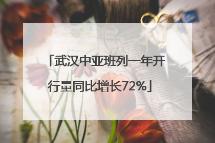 武汉中亚班列一年开行量同比增长72%
