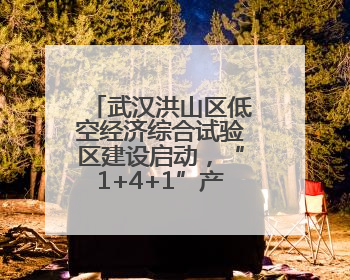 武汉洪山区低空经济综合试验区建设启动，“1+4+1”产业布局初现