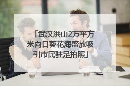 武汉洪山2万平方米向日葵花海盛放吸引市民驻足拍照