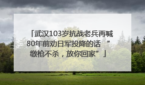 武汉103岁抗战老兵再喊80年前劝日军投降的话 “缴枪不杀，放你回家”