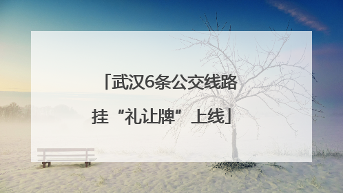 武汉6条公交线路挂“礼让牌”上线