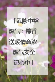 武陟中裕燃气：粽香送暖情意浓 燃气安全记心中