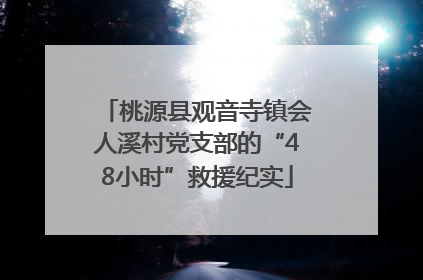 桃源县观音寺镇会人溪村党支部的“48小时”救援纪实
