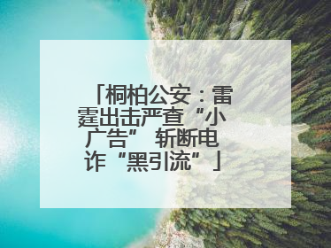 桐柏公安：雷霆出击严查“小广告” 斩断电诈“黑引流”