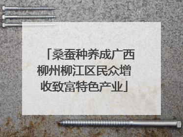 桑蚕种养成广西柳州柳江区民众增收致富特色产业