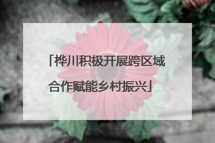 桦川积极开展跨区域合作赋能乡村振兴