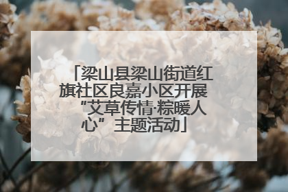 梁山县梁山街道红旗社区良嘉小区开展“艾草传情·粽暖人心”主题活动