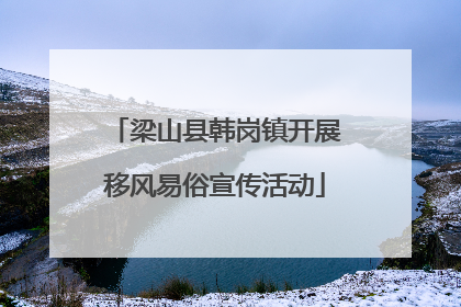 梁山县韩岗镇开展移风易俗宣传活动