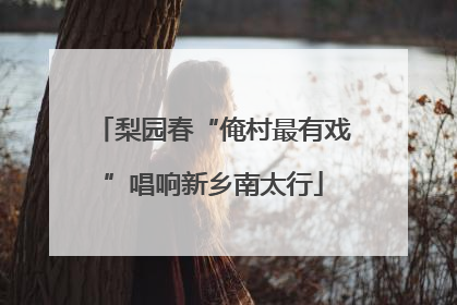 梨园春“俺村最有戏”唱响新乡南太行