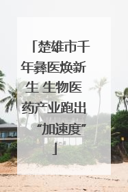 楚雄市千年彝医焕新生 生物医药产业跑出“加速度”