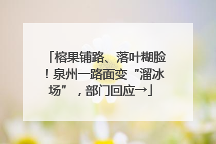 榕果铺路、落叶糊脸！泉州一路面变“溜冰场”，部门回应→