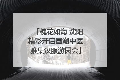 槐花如海 沈阳精彩开启国潮中医雅集汉服游园会