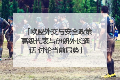 欧盟外交与安全政策高级代表与伊朗外长通话 讨论当前局势