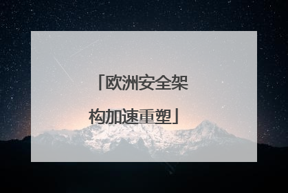 欧洲安全架构加速重塑