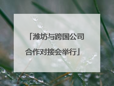 潍坊与跨国公司合作对接会举行