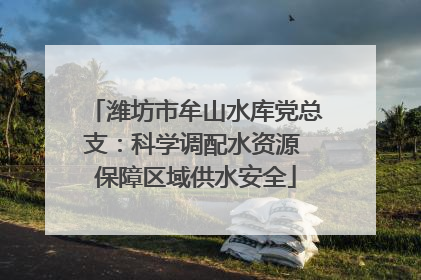 潍坊市牟山水库党总支：科学调配水资源 保障区域供水安全