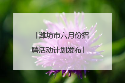 潍坊市六月份招聘活动计划发布