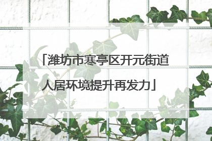 潍坊市寒亭区开元街道人居环境提升再发力