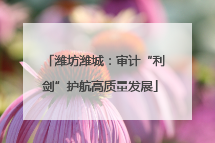 潍坊潍城：审计“利剑”护航高质量发展