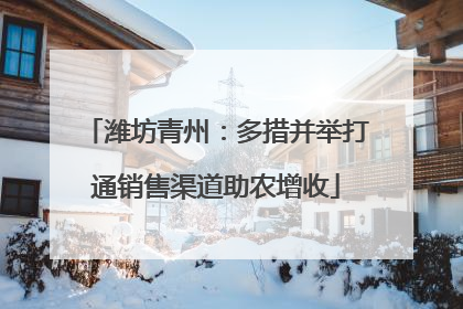 潍坊青州：多措并举打通销售渠道助农增收