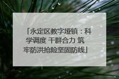 永定区教字垭镇：科学调度 干群合力 筑牢防洪抢险坚固防线