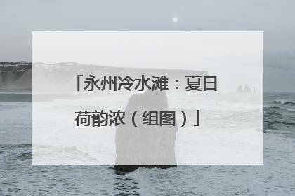 永州冷水滩：夏日荷韵浓（组图）