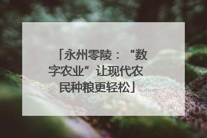 永州零陵：“数字农业”让现代农民种粮更轻松