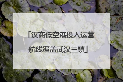 汉商低空港投入运营 航线覆盖武汉三镇