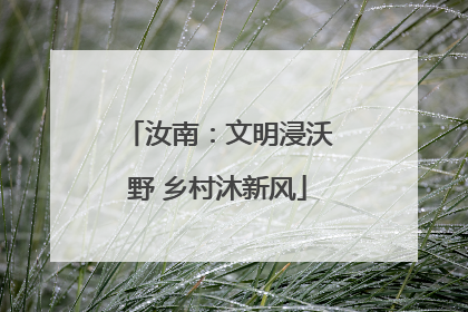 汝南：文明浸沃野 乡村沐新风