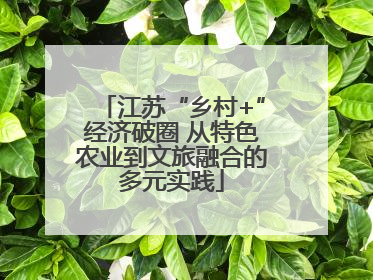 江苏“乡村+”经济破圈 从特色农业到文旅融合的多元实践