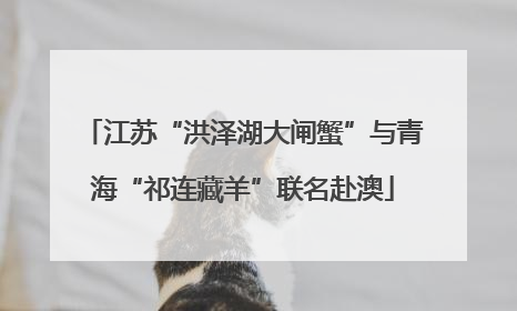 江苏“洪泽湖大闸蟹”与青海“祁连藏羊”联名赴澳