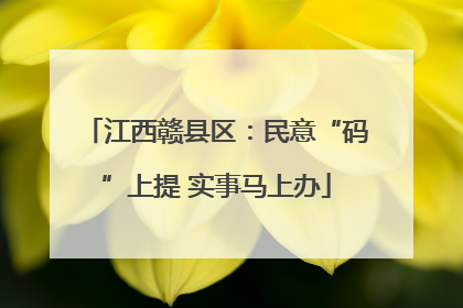 江西赣县区：民意“码”上提 实事马上办