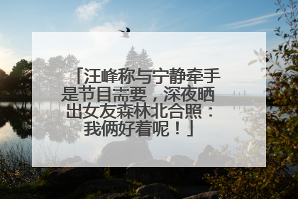 汪峰称与宁静牵手是节目需要，深夜晒出女友森林北合照：我俩好着呢！