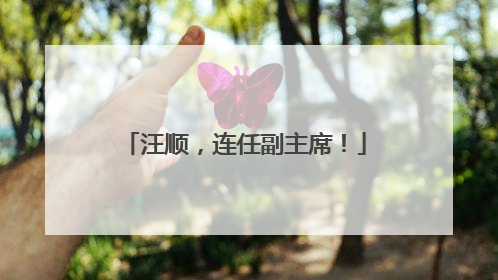 汪顺，连任副主席！