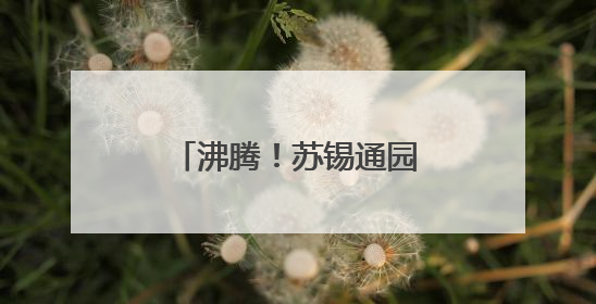 沸腾！苏锡通园区第二现场燃爆“苏超”之夜！