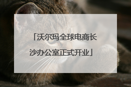 沃尔玛全球电商长沙办公室正式开业