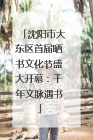 沈阳市大东区首届晒书文化节盛大开幕：千年文脉遇书