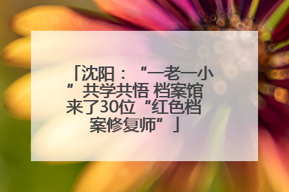沈阳：“一老一小”共学共悟 档案馆来了30位“红色档案修复师”