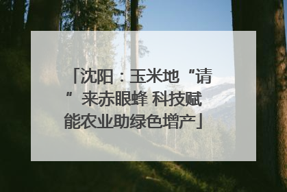 沈阳：玉米地“请”来赤眼蜂 科技赋能农业助绿色增产